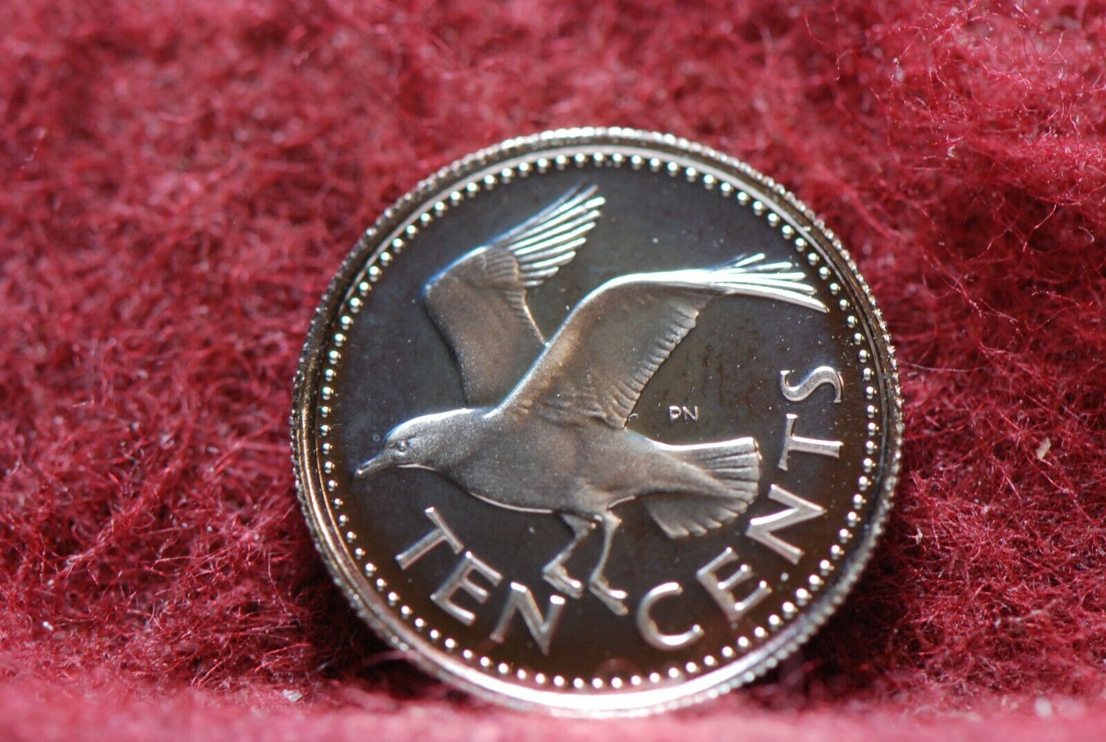 Barbados, 1973 10 Cents, Km12, Laughing Gull, Proof, Nr,                    9-21
